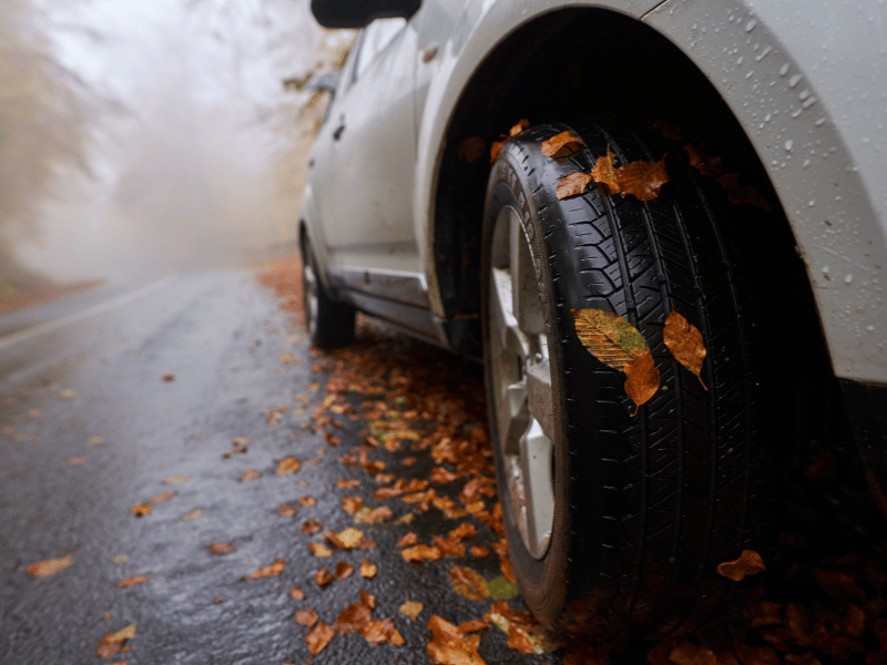 herbstlaub, laub, auto auf nasser straße