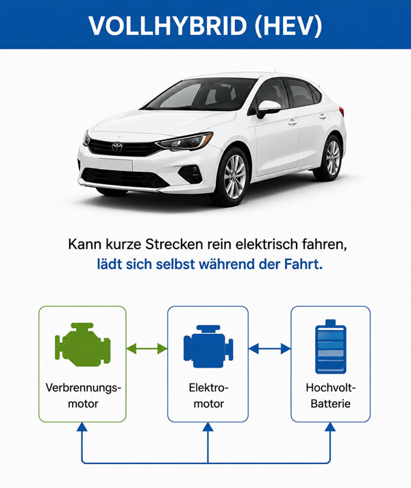 grafik voll-hybrid